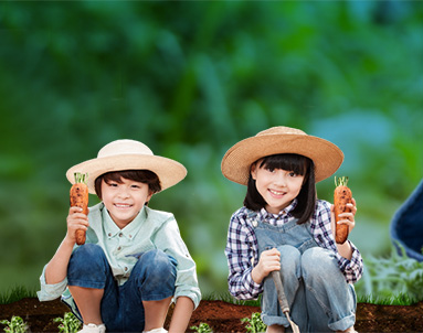 유치부 : 전통 떡 만들기 체험, 유기농채소 가꾸기 체험, 솜사탕만들기 체험, 전통민속놀이체험 등 레크리에이션 놀이